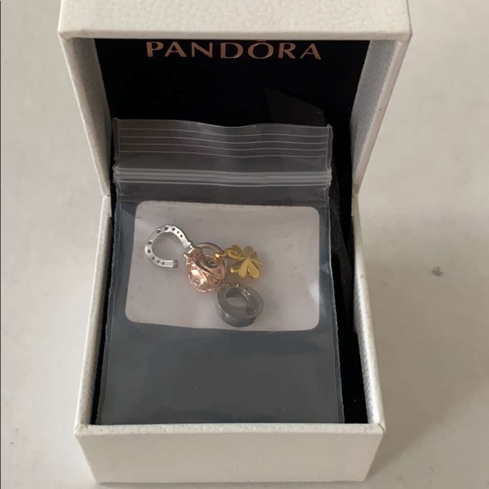 Pandora horseshoe and clover charm
